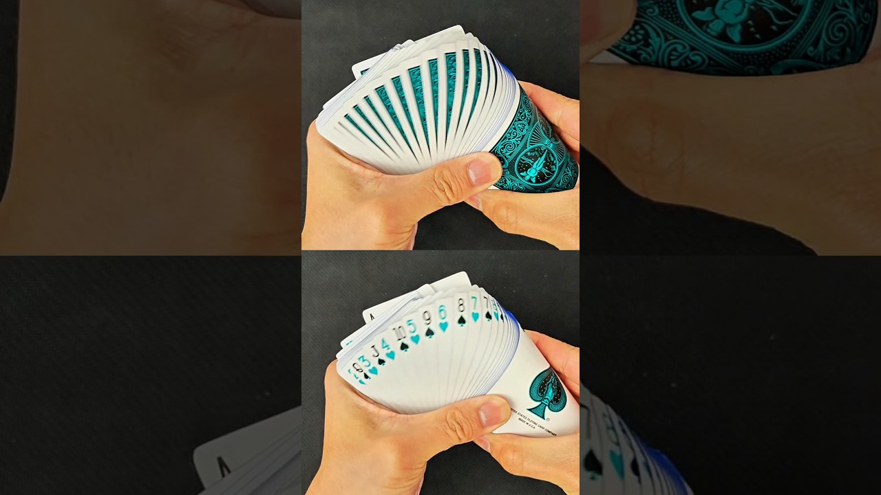 spielerlebnis